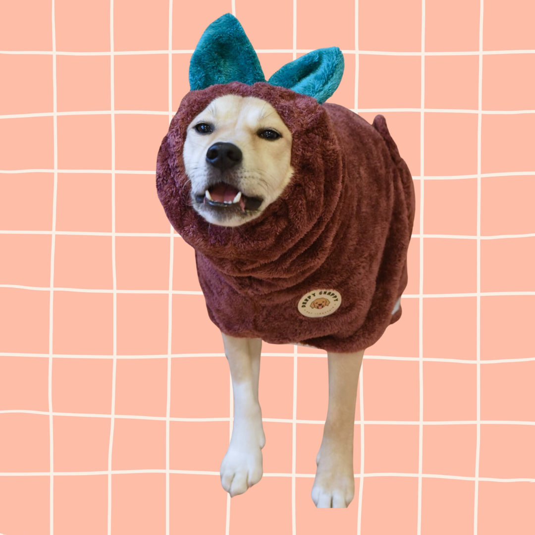 Dog wearing dark purple Derpy Chappy microfiber bathrobe with bunny ear hood – quick-dry towel robe for dogs, cozy and adorable design