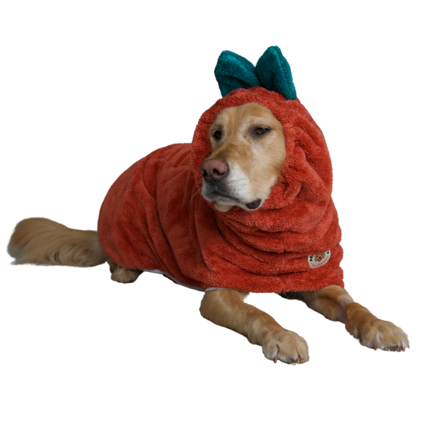 playful dog wearing red Derpy Chappy microfiber bathrobe with bunny ear hood – quick-dry towel robe for dogs, cozy and adorable design