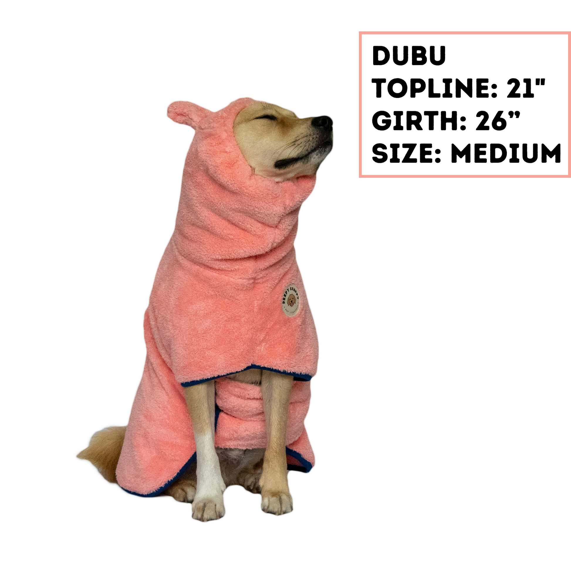 Dog wearing mint Derpy Chappy microfiber bathrobe with bunny ear hood – quick-dry towel robe for dogs, cozy and adorable design