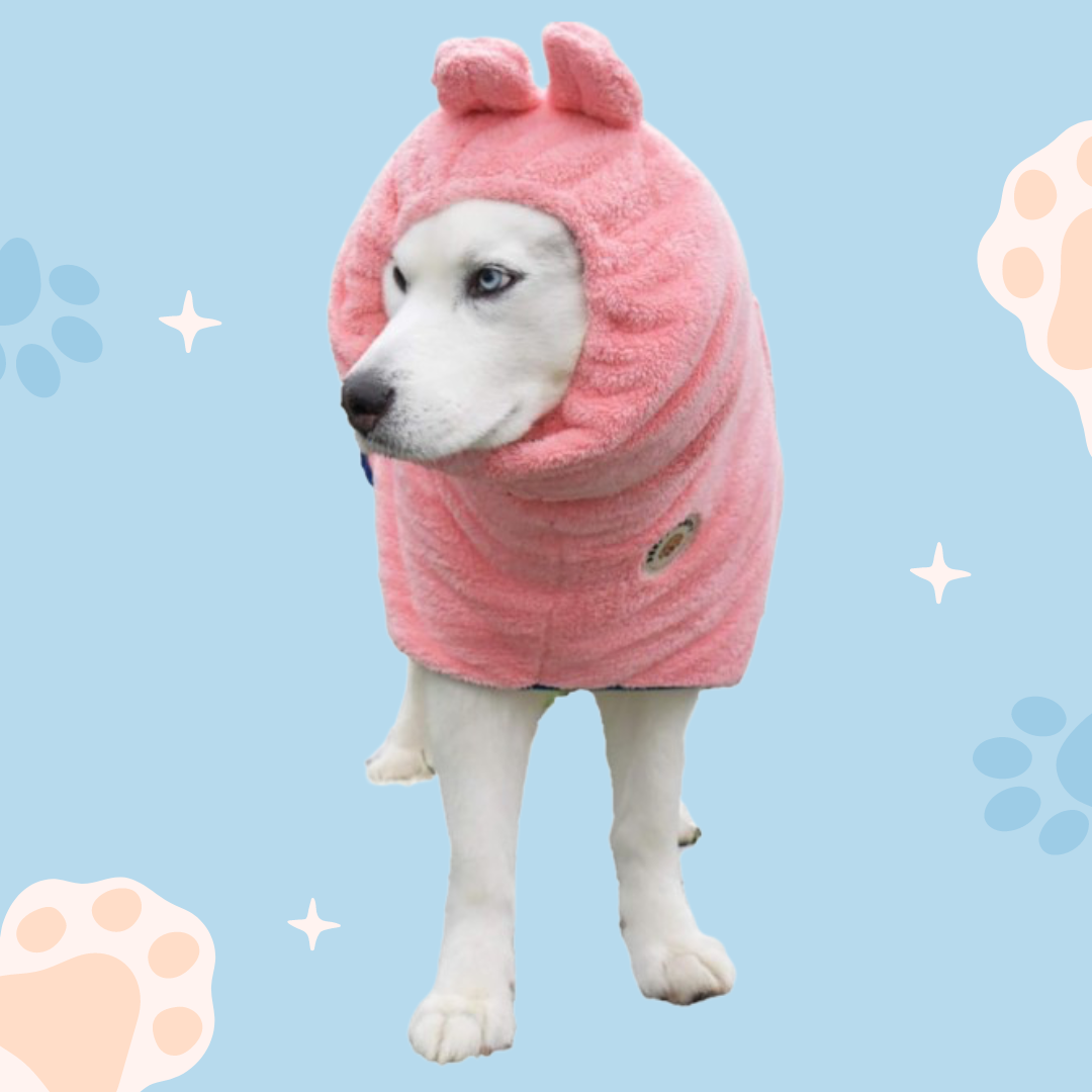 large husky dog wearing pink microfiber dog bathrobe – Derpy Chappy robe 
