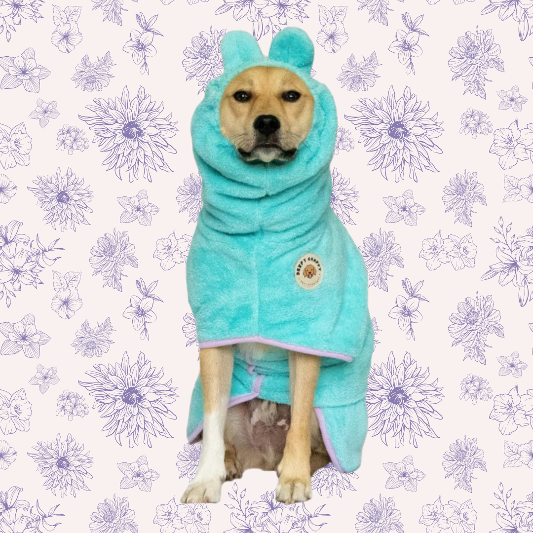 Medium-sized dog wearing mint microfiber dog bathrobe – Derpy Chappy robe with 21-inch topline and 26-inch girth