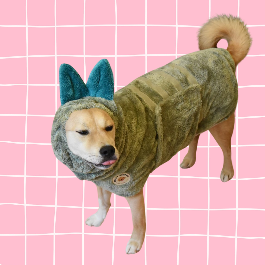 Medium-sized dog wearing olive microfiber dog bathrobe – Derpy Chappy robe