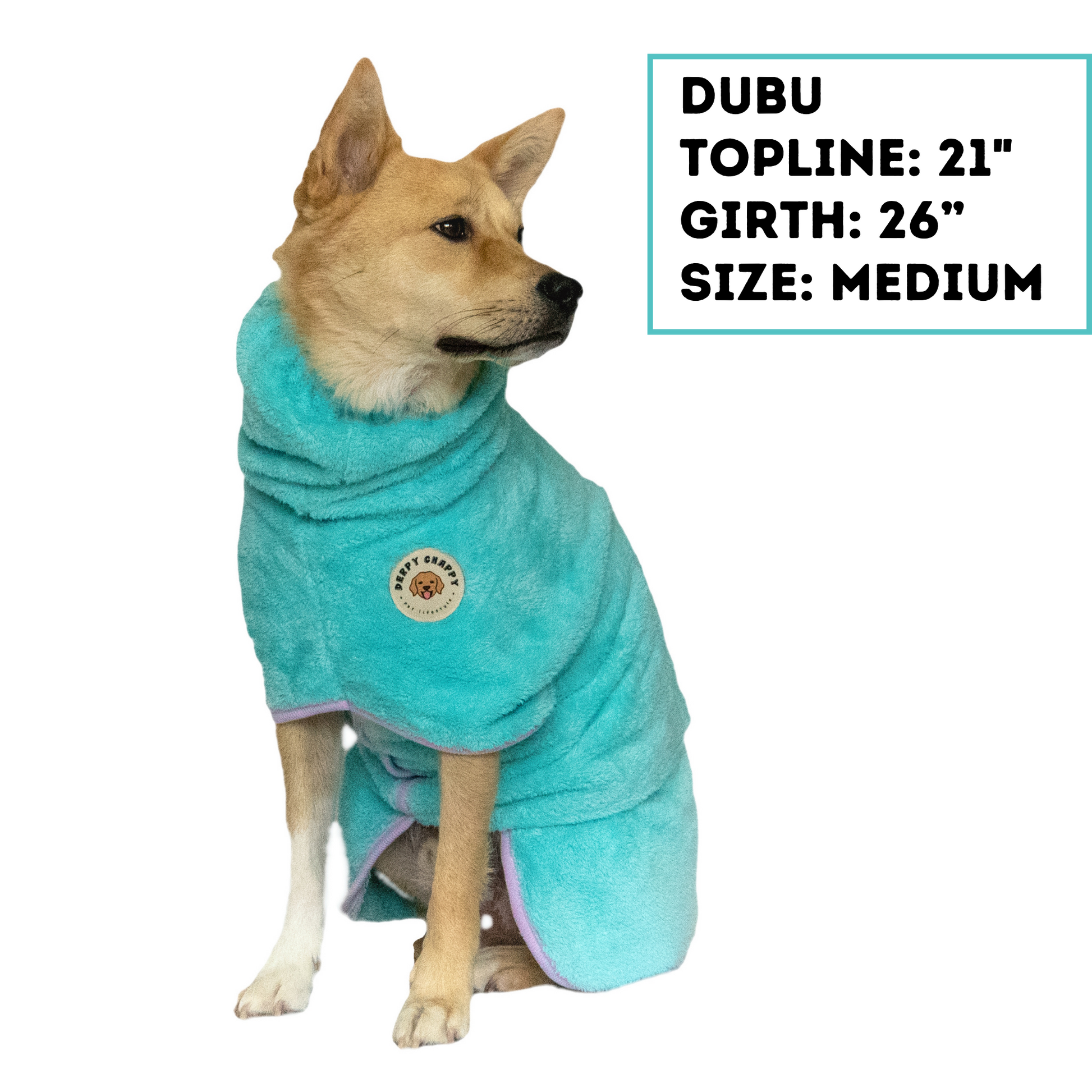 Dog wearing mint Derpy Chappy microfiber bathrobe with bunny ear hood – quick-dry towel robe for dogs, cozy and adorable design