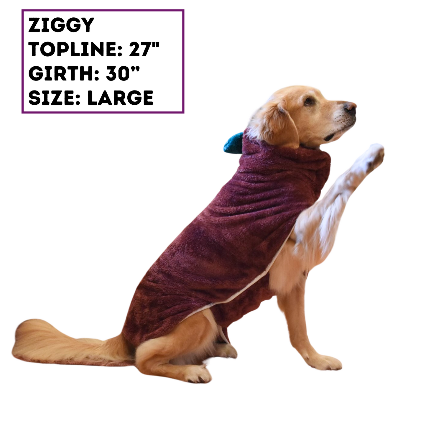 large sized dog wearing fig microfiber dog bathrobe – Derpy Chappy robe 