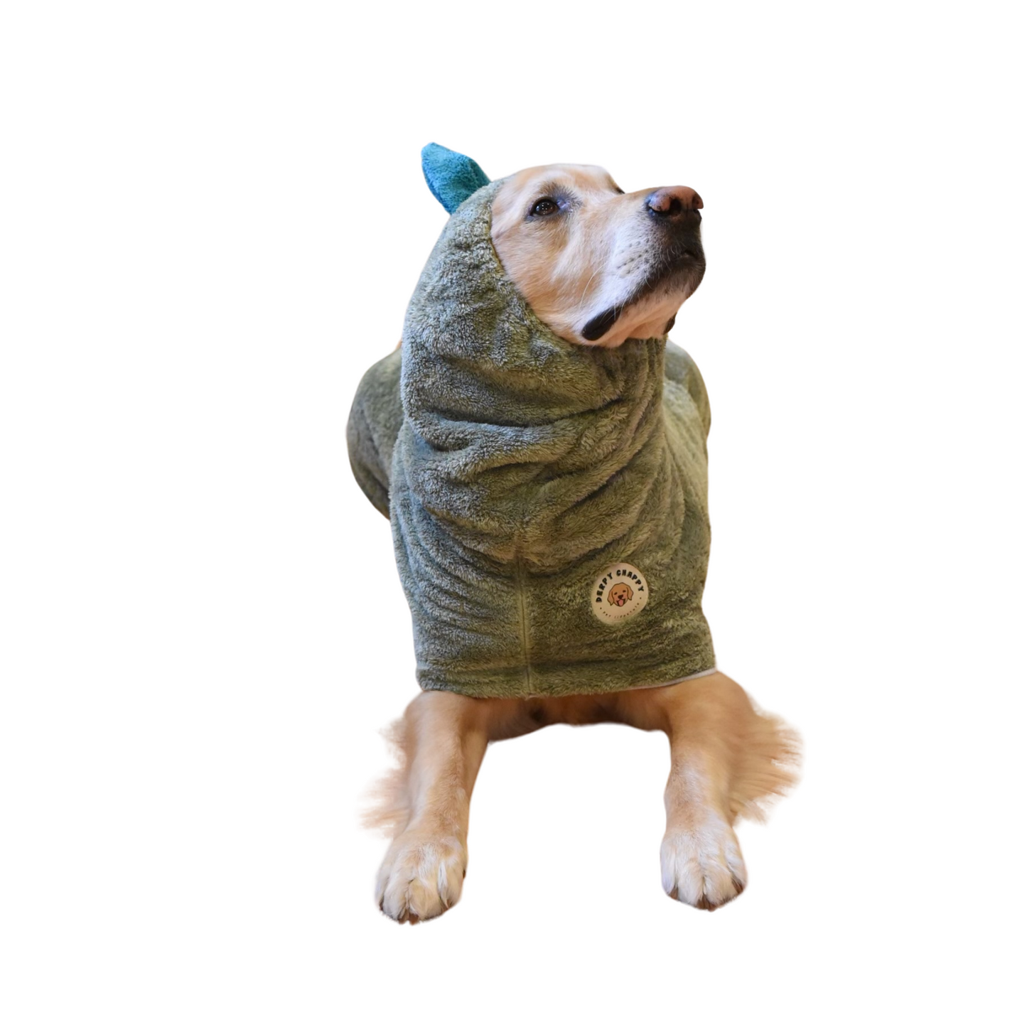 Dog wearing green Derpy Chappy microfiber bathrobe with bunny ear hood – quick-dry towel robe for dogs, cozy and adorable design