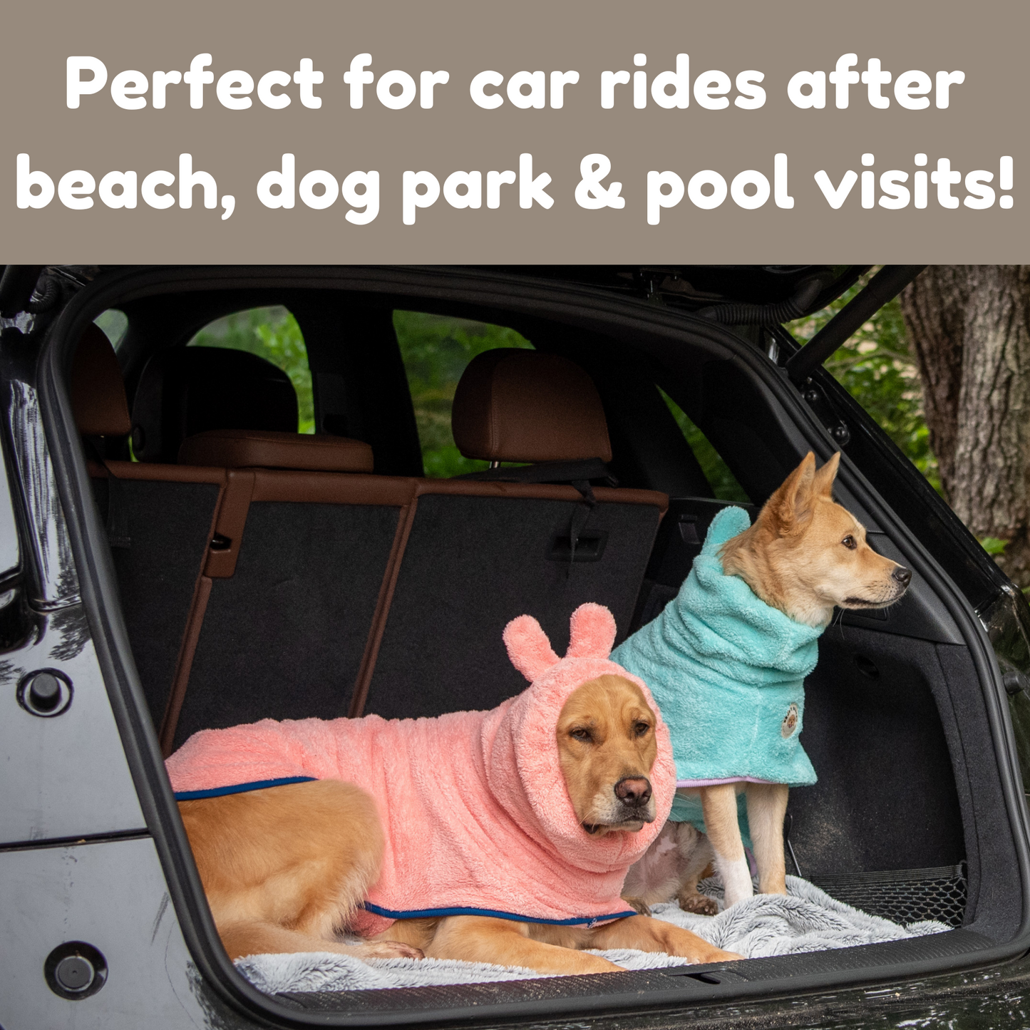 Two dogs in Derpy Chappy bathrobes lounging in car trunk after park or beach – pink and turquoise microfiber dog towels for post-outing drying