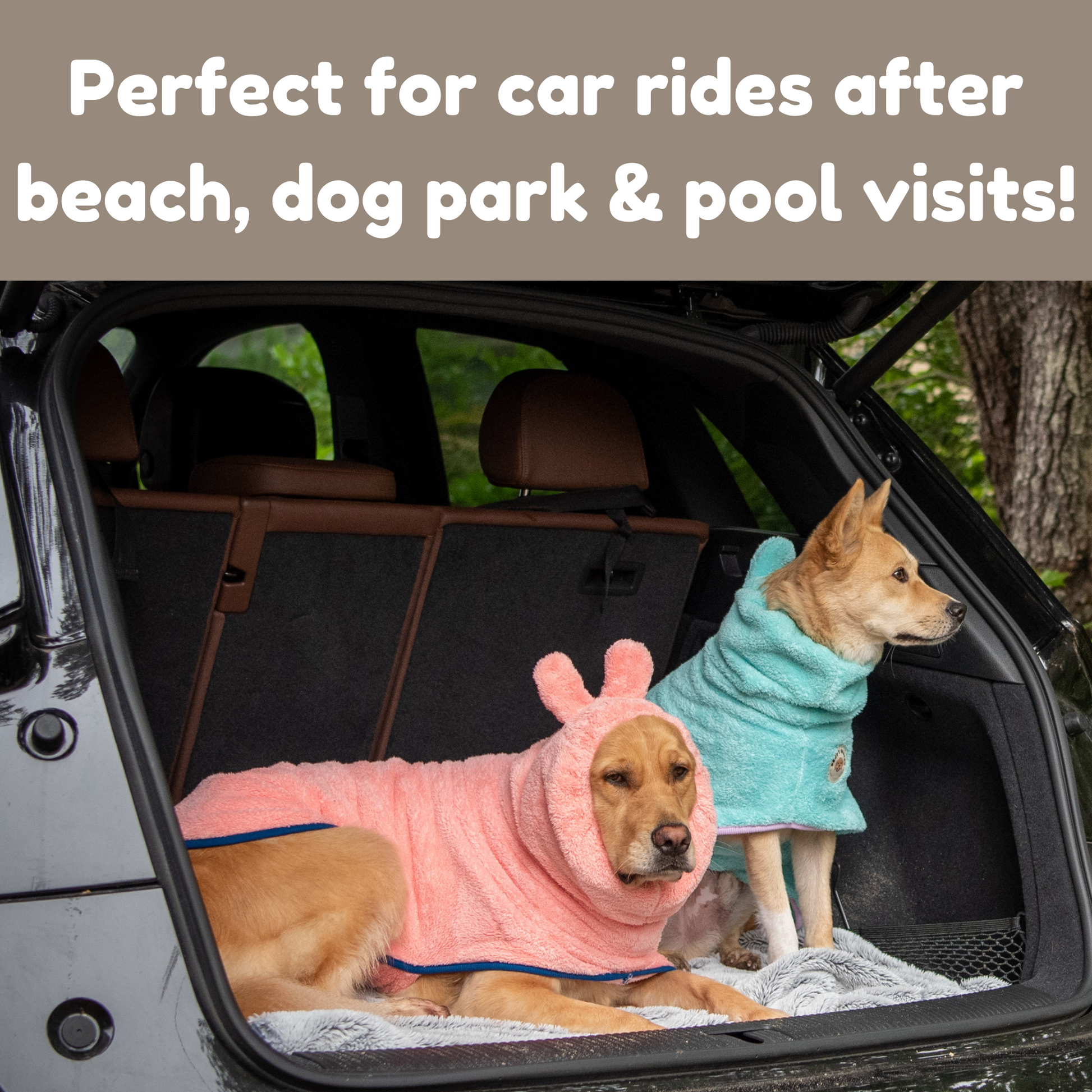 Two dogs in Derpy Chappy bathrobes lounging in car trunk after park or beach – pink and turquoise microfiber dog towels for post-outing drying