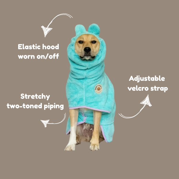 Dog wearing turquoise Derpy Chappy microfiber bathrobe with bunny ear hood – quick-dry towel robe for dogs, cozy and adorable design